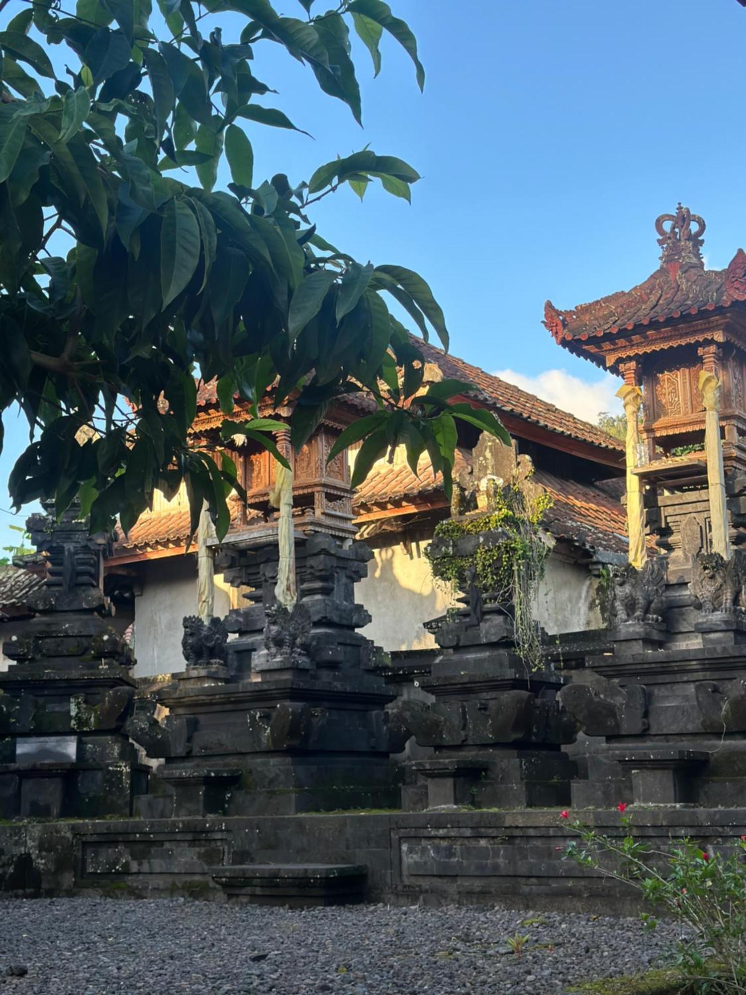 Made Putu Homestay سيديمين المظهر الخارجي الصورة