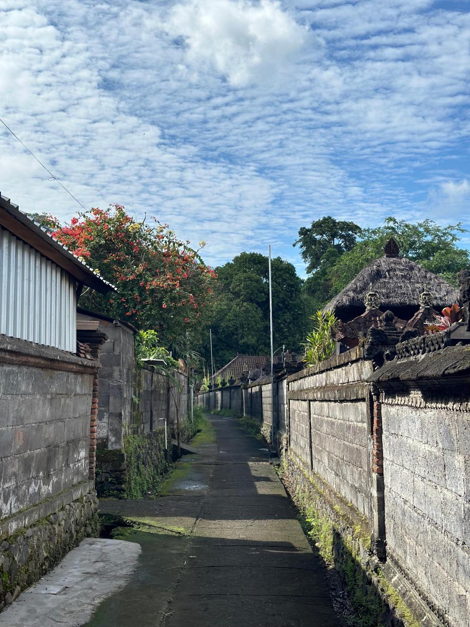 Made Putu Homestay سيديمين المظهر الخارجي الصورة